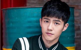 學霸明星,智慧與魅力的完美融合