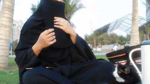 娱乐吃瓜君发生了什么