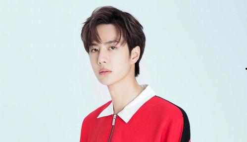 娱乐大爆料txt下载,揭秘娱乐圈幕后真相