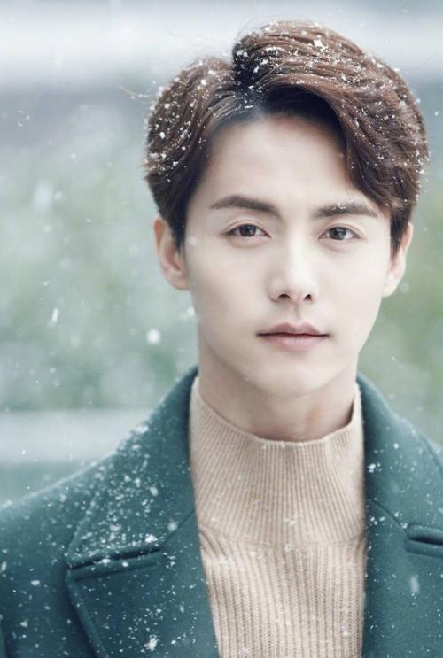 男明星推荐,盘点年度必看影视佳作