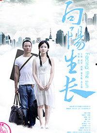 向阳在线观看,探索阳光下的网络生活