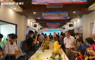 遂溪新闻爆料最新消息视频