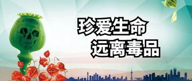 珍爱生命远离吃瓜,珍爱生命，远离“吃瓜”陷阱