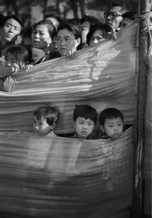 别人吃瓜看热闹