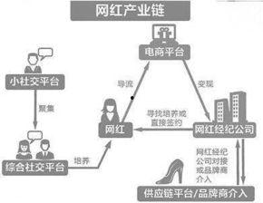 视频网红的发展历程,网红崛起与演变之路