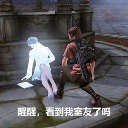 娱乐圈吃瓜游戏视频大全,游戏视频大全揭秘明星幕后趣事